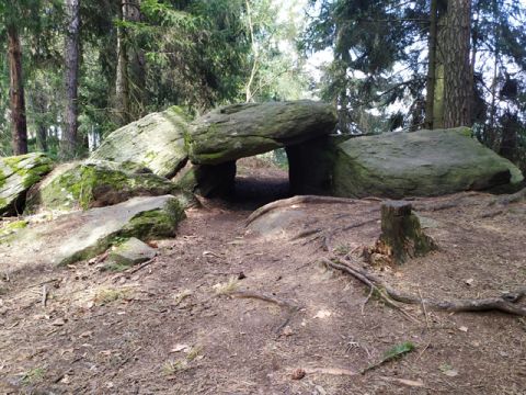 Foto 100